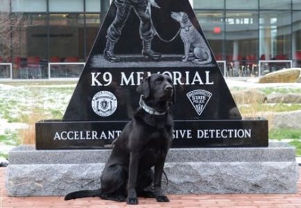 Massachusetts State Police Accelerant Explosive Detection K9 Memorial Triangular Black Granite Monument Tribute In Stone