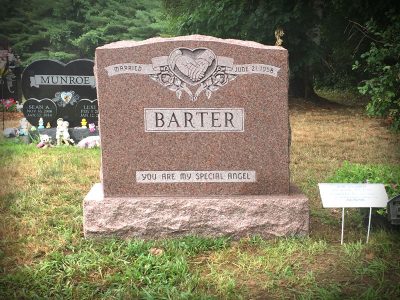 North American Pink Granite Upright Monument Barter Memorial with Holding Hands Carving