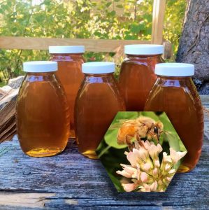A to Z Bees Local Honey at Tribute In Stone